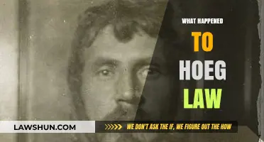 The Sudden Disappearance of Hoeg Law: Unraveling the Mystery