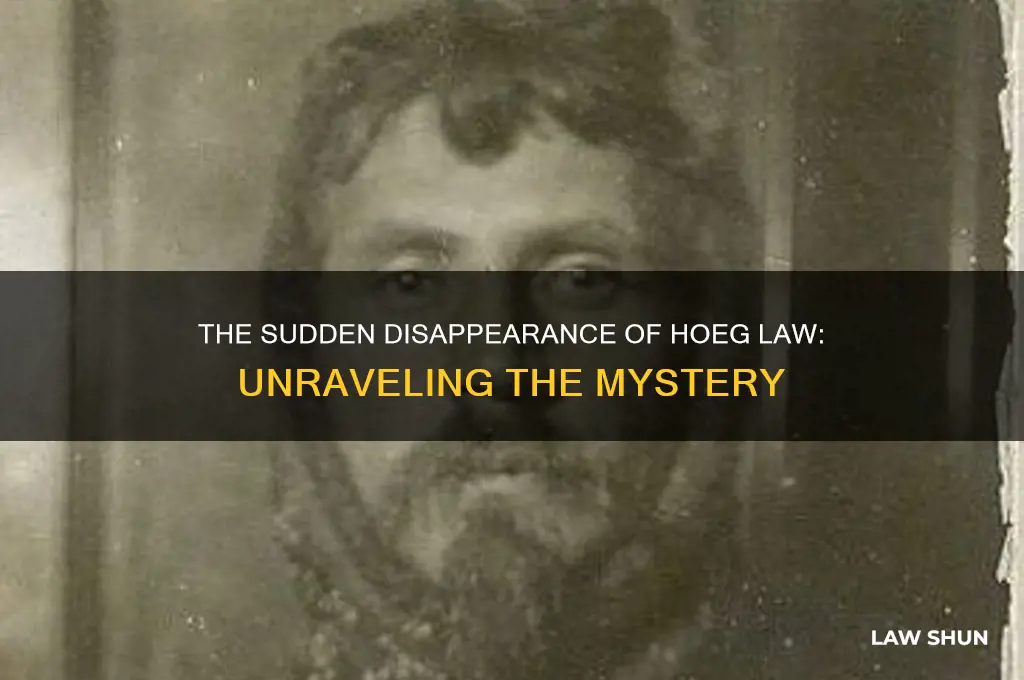 what happened to hoeg law