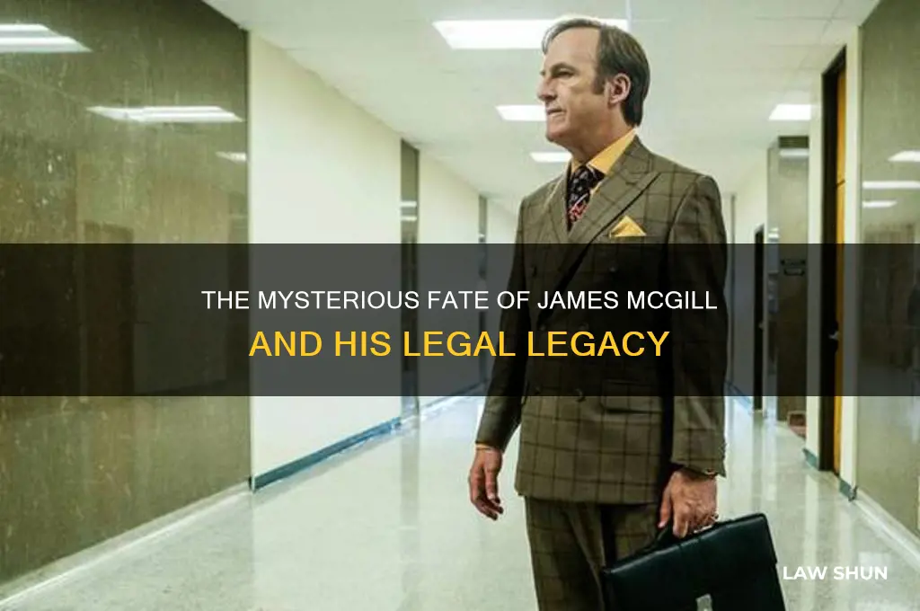 what happened to james mcgill and his law group