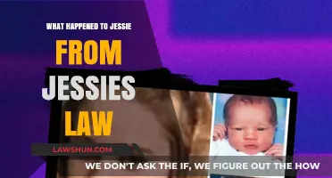 Jessie's Law: Unraveling the Mystery Behind Her Sudden Disappearance