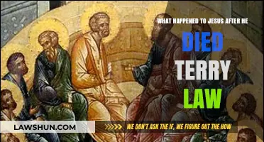 Jesus' Post-Death Journey: Exploring Terry Law's Perspective and Insights
