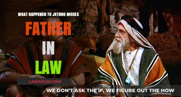 Unraveling Jethro Moses' Father-in-Law's Mysterious Fate: A Biblical Inquiry
