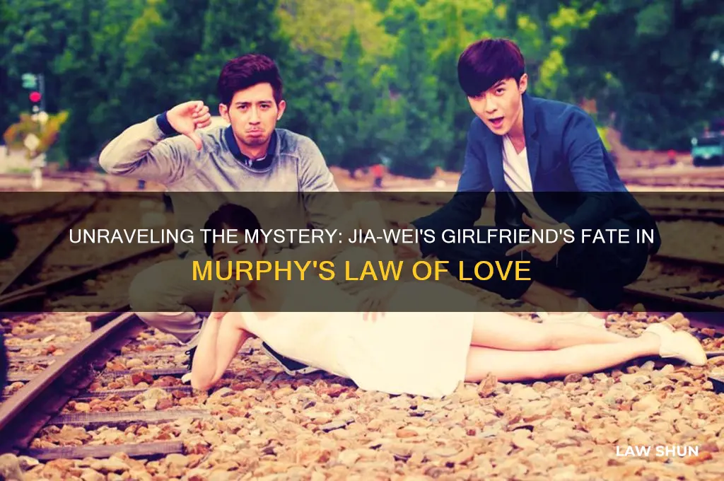 what happened to jia-wei
