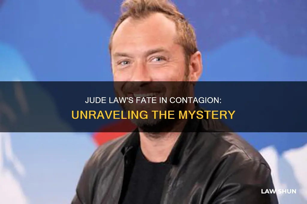 what happened to jude law in contagion