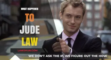 Jude Law's Career Evolution: From Heartthrob to Hollywood Veteran