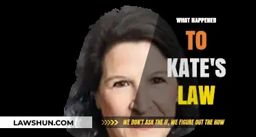 Kate's Law: The Fate of a Controversial Immigration Policy Explained