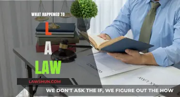 What Happened to L.A. Law? A Look at Its Legacy