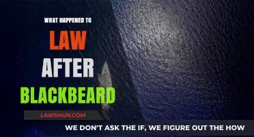 Blackbeard's Legacy: The Evolution of Maritime Law Post-Piracy Era