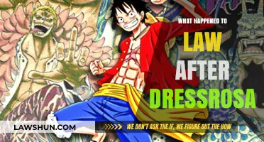 Law's Post-Dressrosa Journey: New Alliances, Challenges, and Ambitions