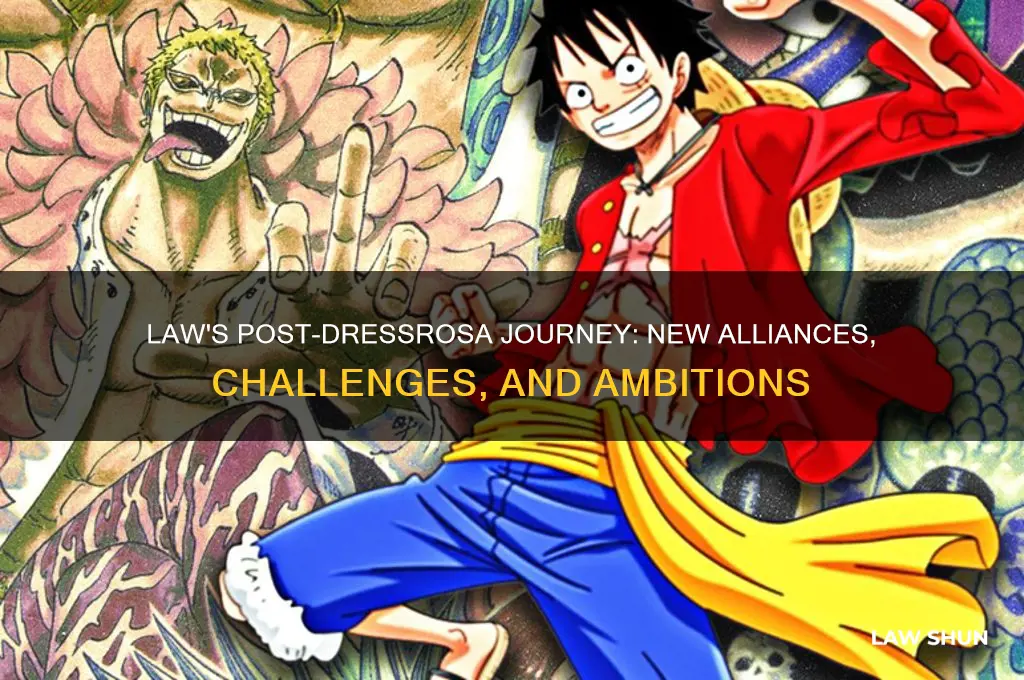 what happened to law after dressrosa