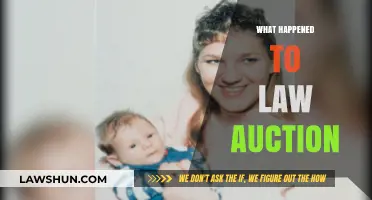 The Mysterious Disappearance of Law Auctions: What Really Happened?