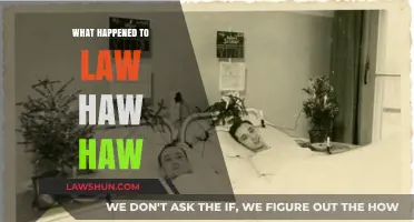 The Mysterious Disappearance of Lord Haw-Haw: Unraveling the Enigma
