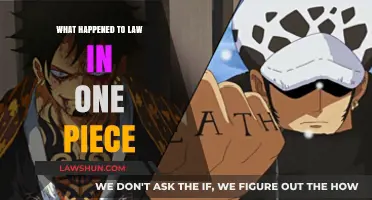 One Piece Law's Fate: Unraveling His Mysterious Disappearance and Impact