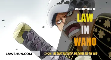 Wano's Legal Turmoil: Unraveling the Fate of Law in One Piece