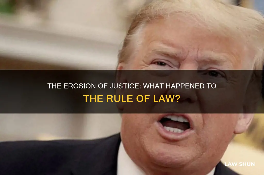 what happened to law