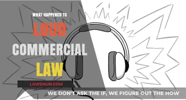 The Decline of Loud Commercial Law: Causes and Consequences Explored