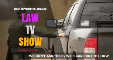 Louisiana Law TV Show: Cancellation and Legacy Explained