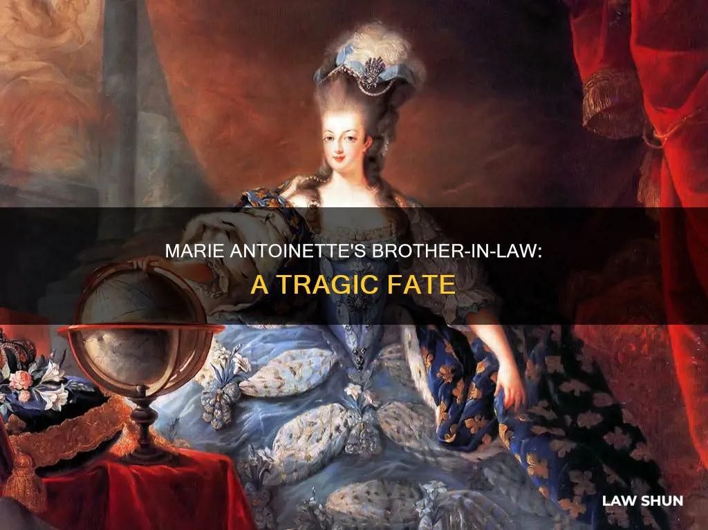 what happened to marie antoinette