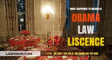 Michelle Obama's Law License: What Really Happened and Why