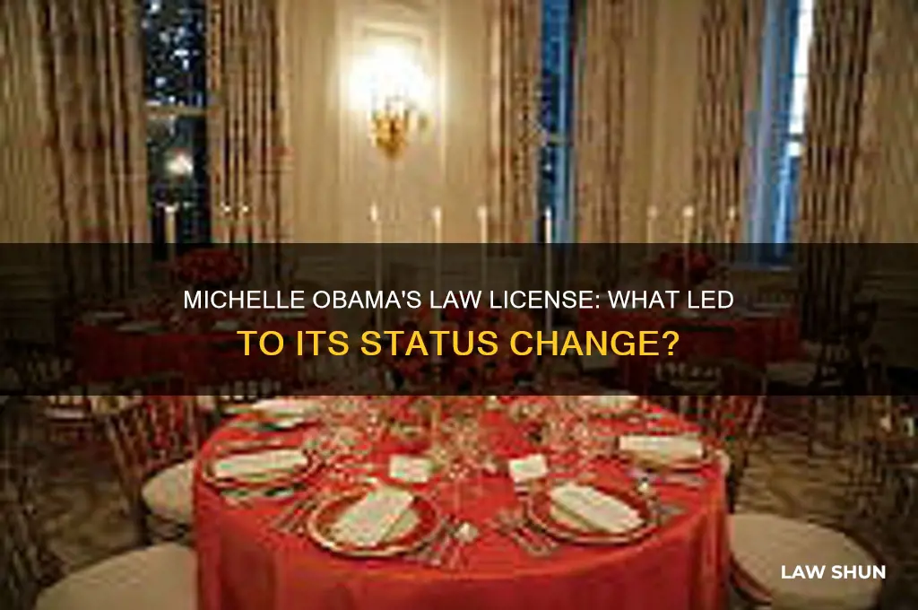 what happened to michelle obama