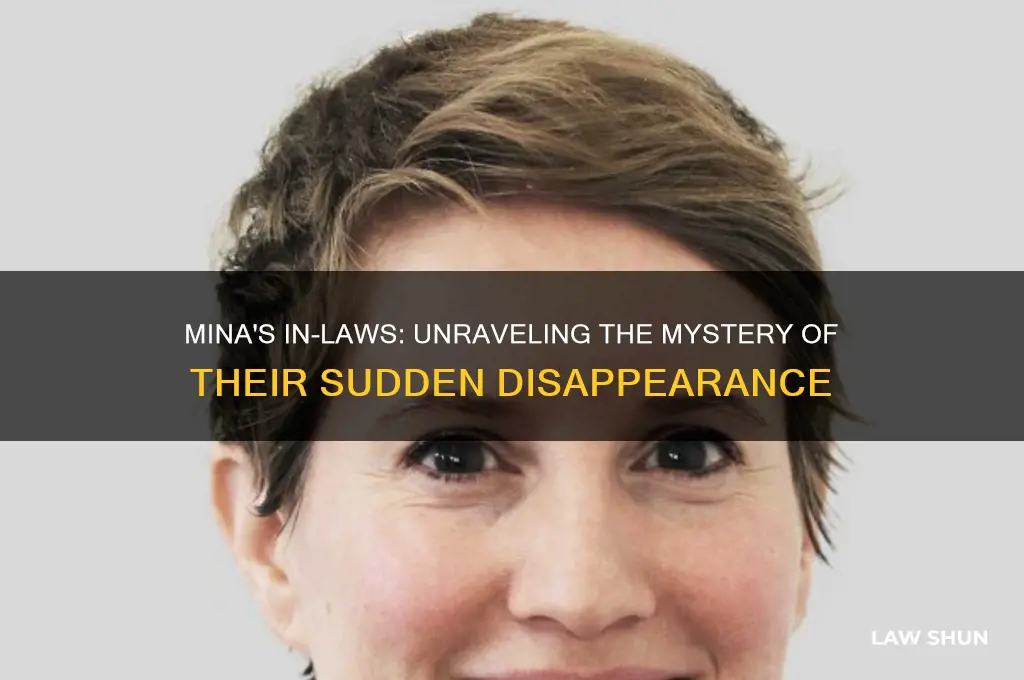 what happened to mina