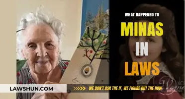 The Mysterious Disappearance of Minas' In-Laws: Unraveling the Truth