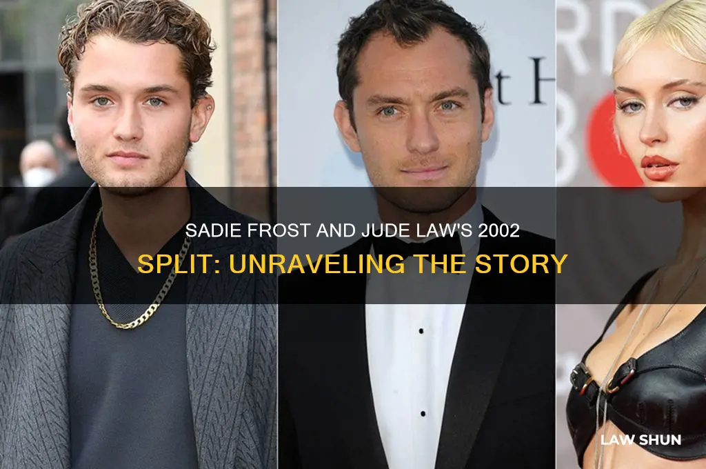 what happened to sadie and jude law in 2002