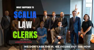 Scalia's Legacy: The Impact and Whereabouts of His Law Clerks
