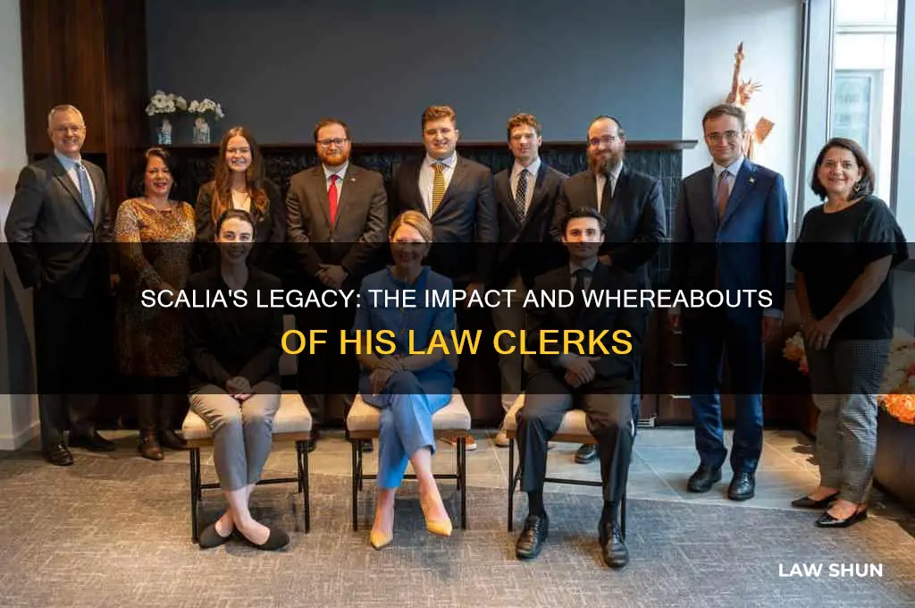 what happened to scalia law clerks
