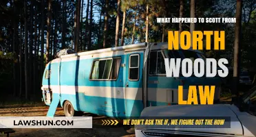 Scott's Disappearance: Unraveling the Mystery from North Woods Law