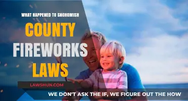 Snohomish County Fireworks Laws: Changes, Restrictions, and What You Need to Know