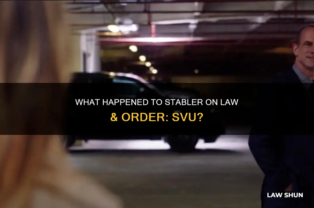 what happened to stabler on law &amp