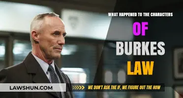 Burke's Law Legacy: Uncovering the Fates of Its Iconic Characters