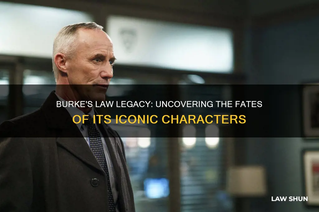what happened to the characters of burkes law