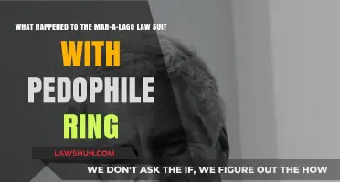 Mar-a-Lago Lawsuit: Unraveling the Pedophile Ring Allegations and Fallout
