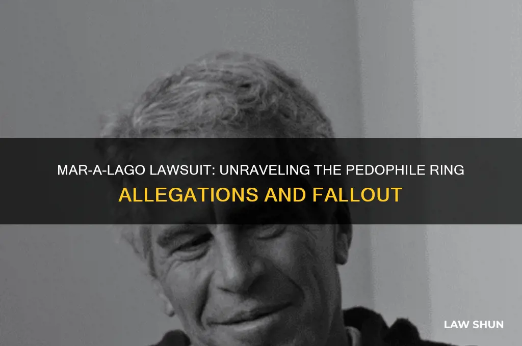 what happened to the mar-a-lago law suit with pedophile ring