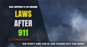 Post-9/11 Sunshine Laws: Transparency Challenges in a Changed World