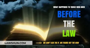 Before the Law: The Fate of Those Who Died Unjudged