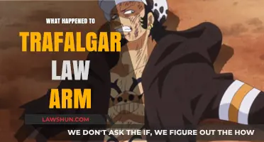 Trafalgar Law's Arm: Unraveling the Mystery Behind His Missing Limb