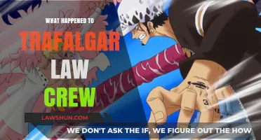 Trafalgar Law's Crew: Unraveling Their Mysterious Fate in One Piece