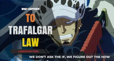 Trafalgar Law's Fate: Unraveling the Mystery in One Piece