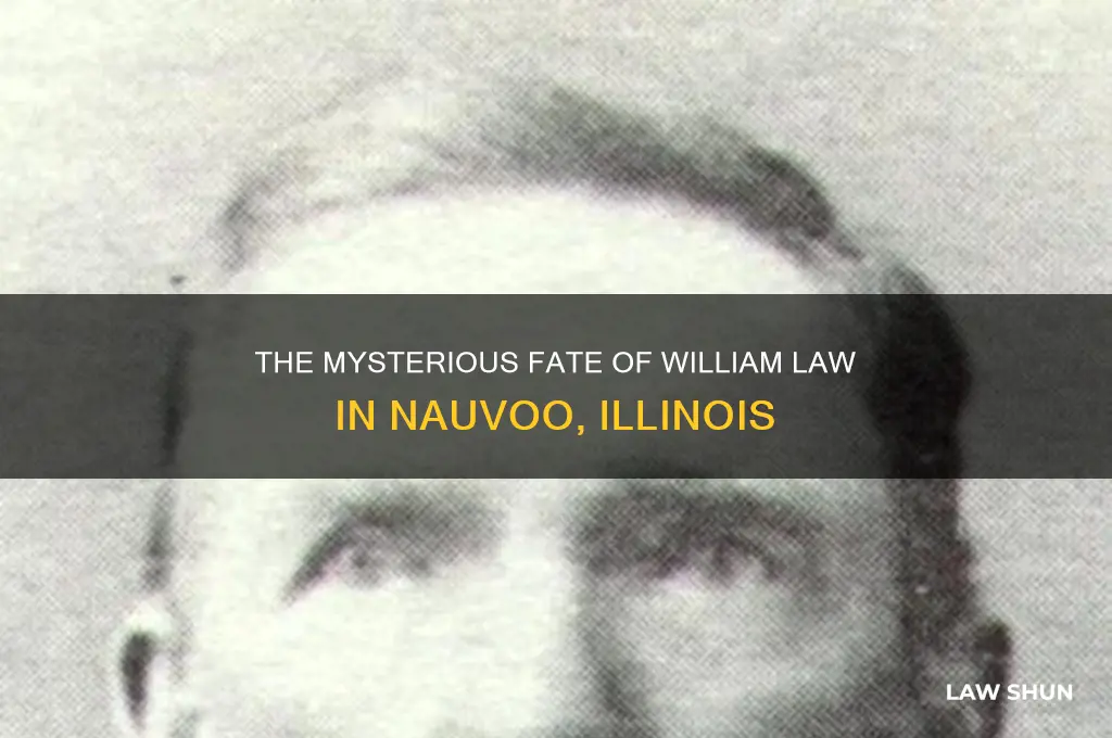 what happened to william law of navouoo illinois