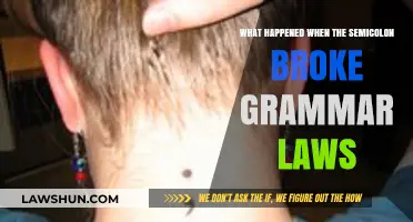 When the Semicolon Broke Grammar Laws: A Punctuation Rebellion
