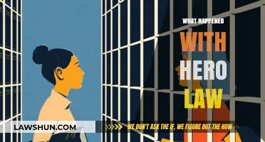 Hero Law's Downfall: Unraveling the Legal Battle and Its Aftermath