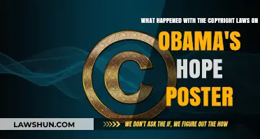 Obama's Hope Poster: The Copyright Battle and Legal Aftermath