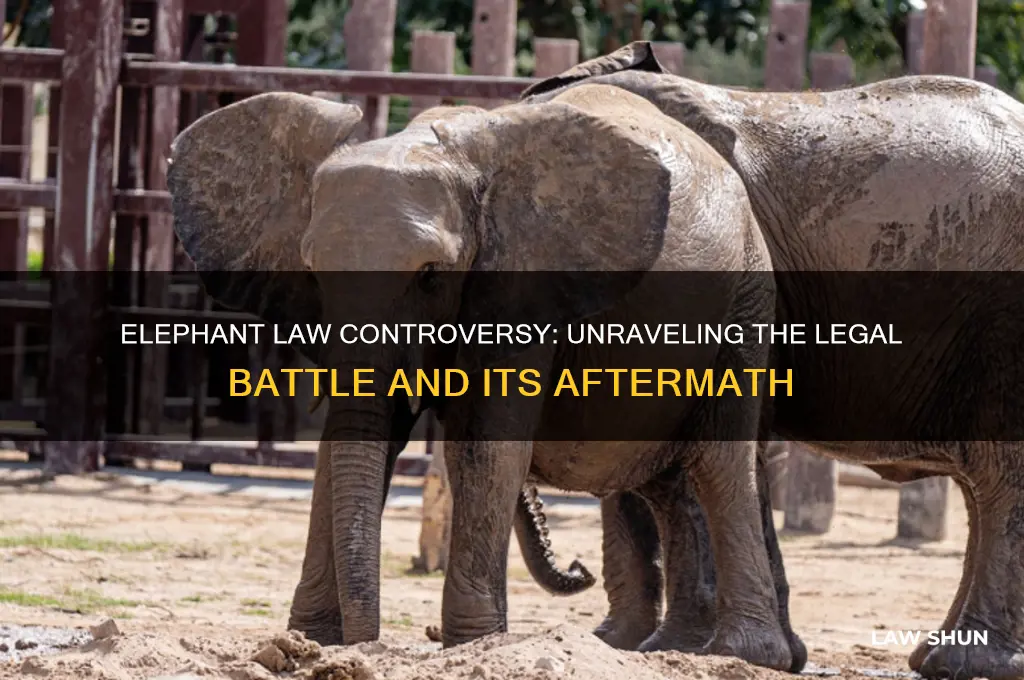 what happened with the elephant law