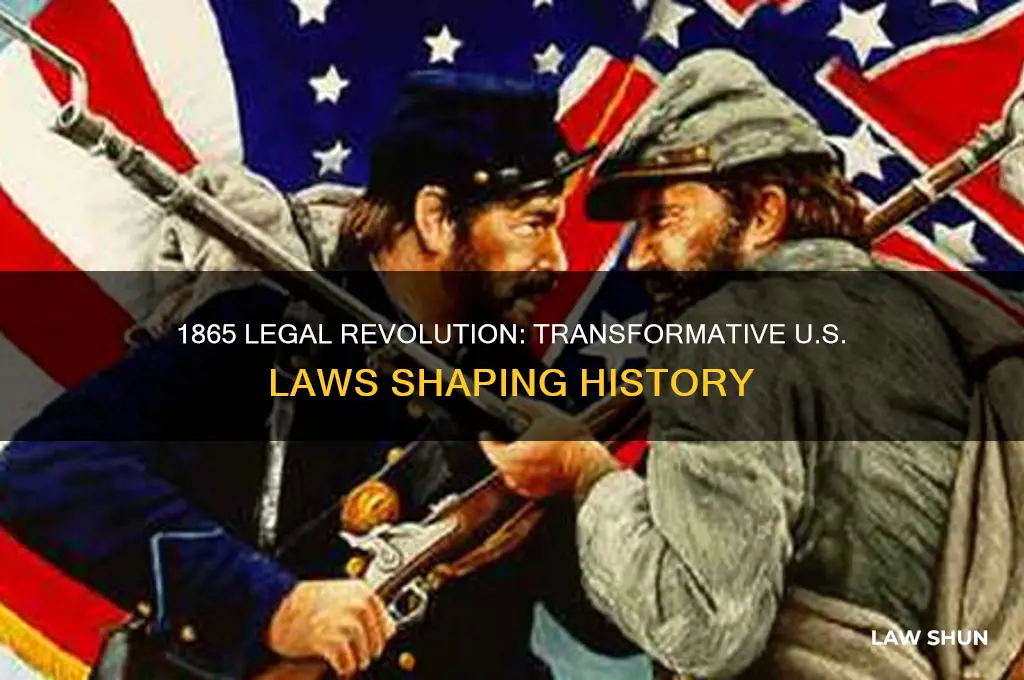what happenned in 1865 law in usa
