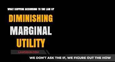 Understanding the Law of Diminishing Marginal Utility: Economic Implications Explained