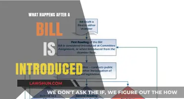 From Introduction to Law: The Journey of a Bill Explained