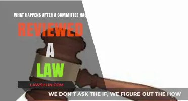 Post-Review Process: What Happens After a Committee Evaluates a Law
